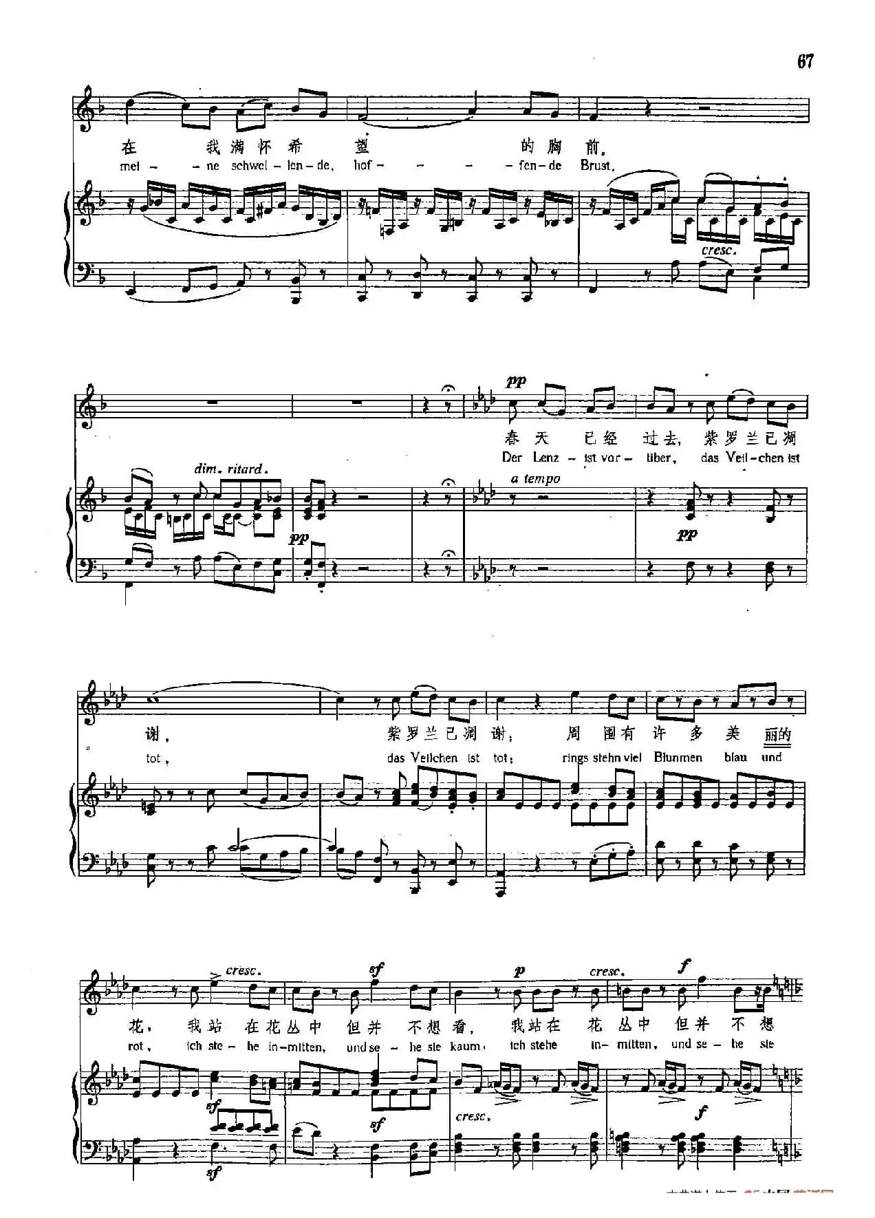 声乐教学曲库4-[德-奥]9第一朵紫罗兰（正谱） 