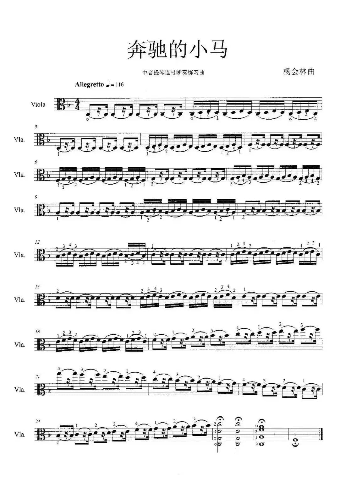 奔驰的小马（中音提琴连弓断奏练习曲）