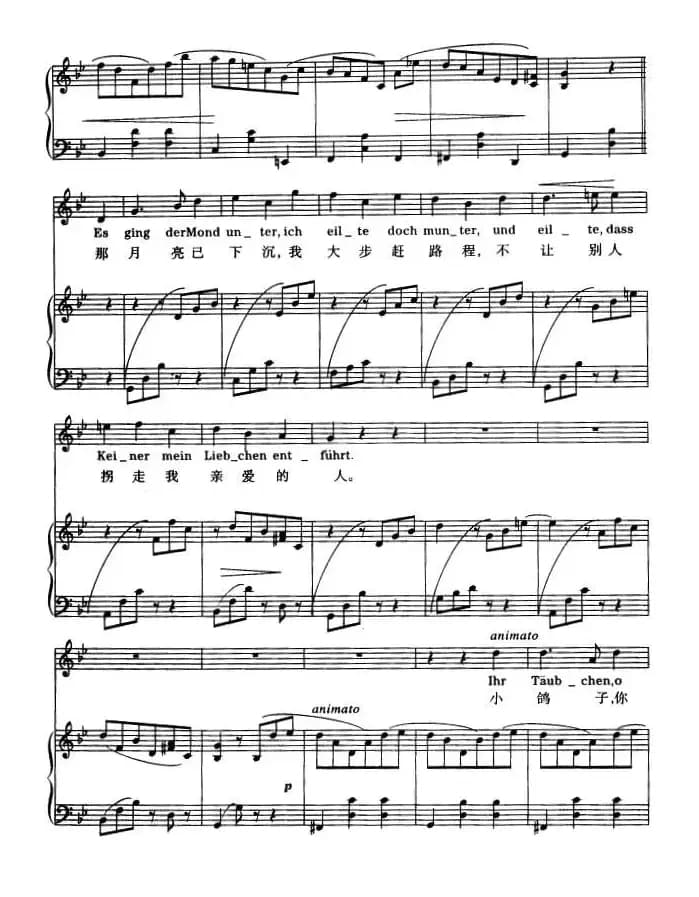 去看望爱人的路上（波西米亚民歌）（中外文对照、正谱）