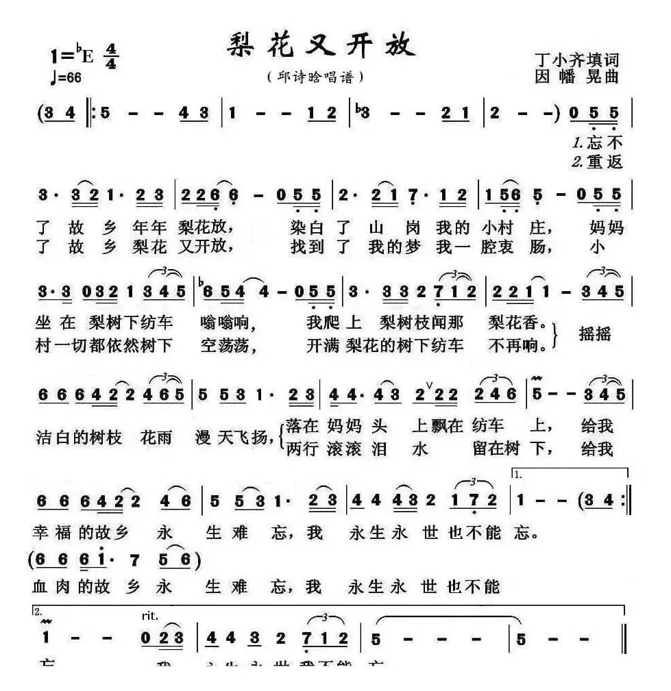 梨花又开放(邱诗晗)