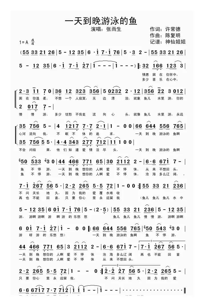 一天到晚游泳的鱼