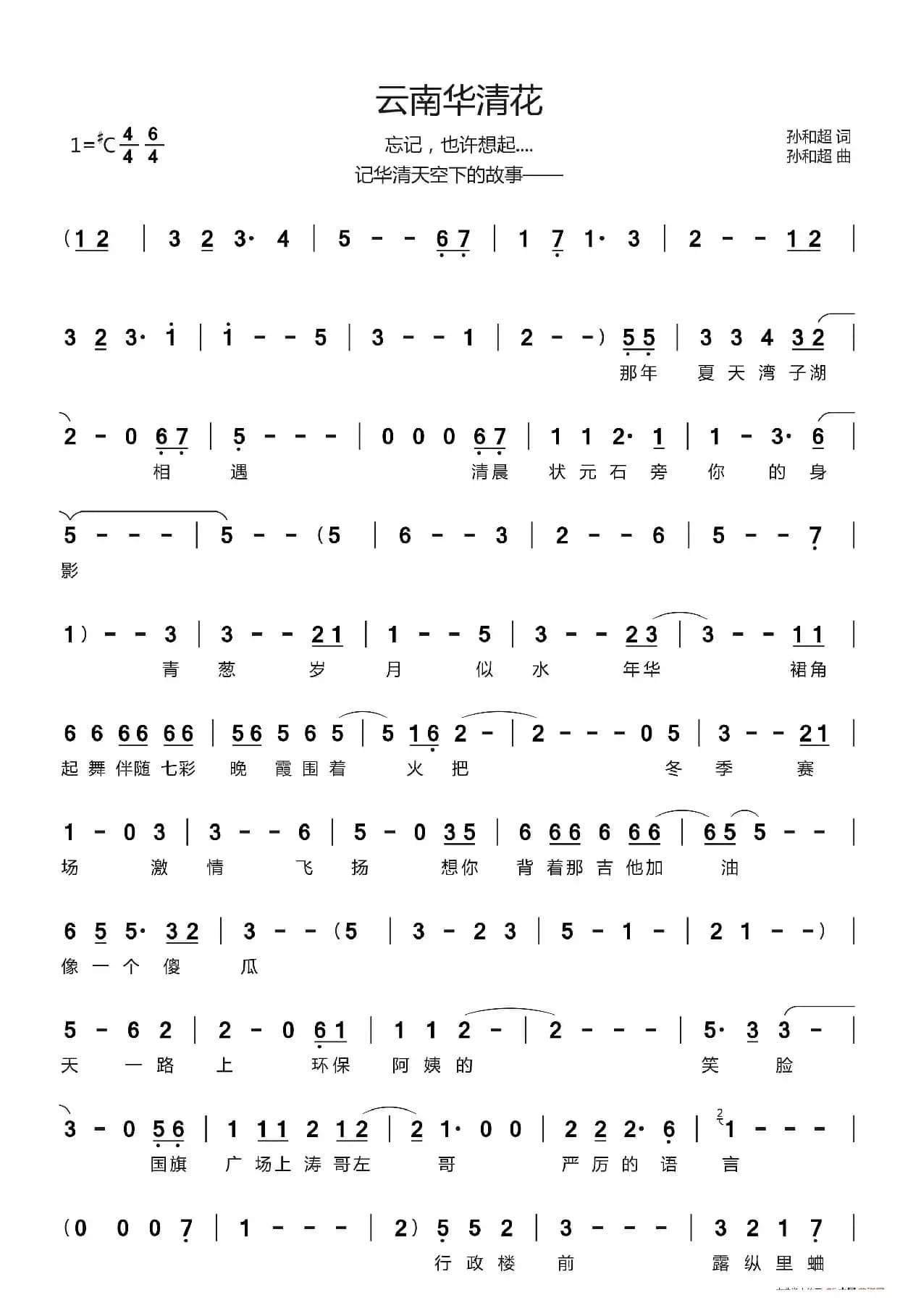 孙和超 - 云南华清花