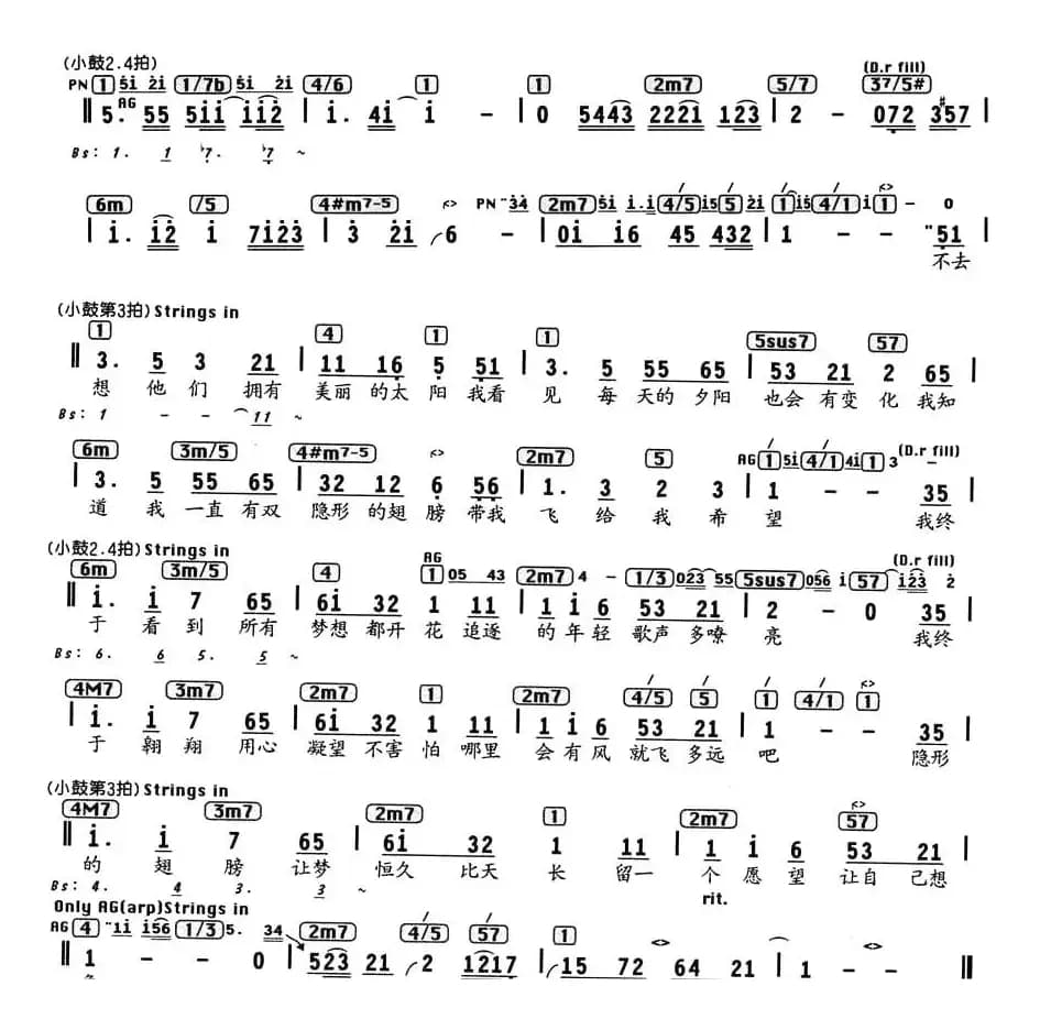 隐形的翅膀（编配乐谱）
