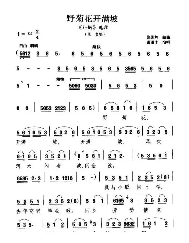 野菊花开满坡（《补锅》兰英唱段）