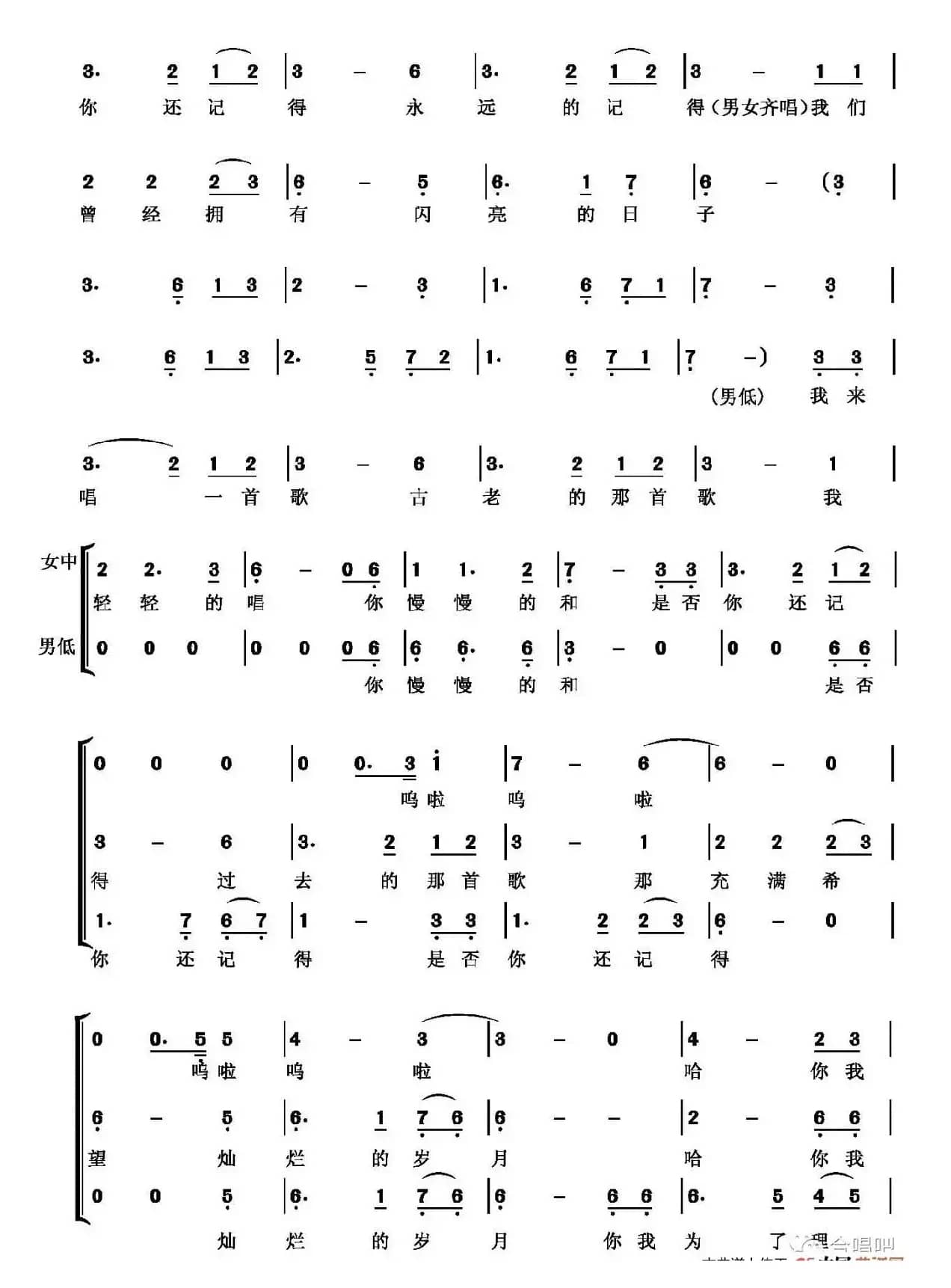 闪亮的日子（梦之旅组合）（浪迹原声 记谱制谱）