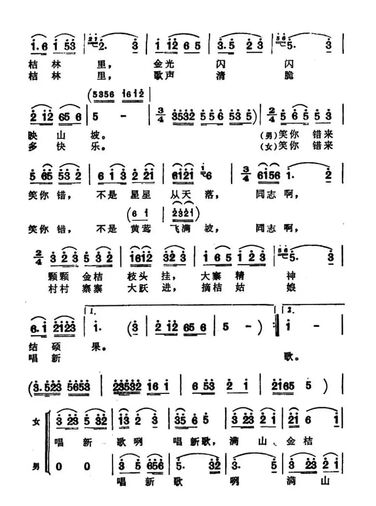 金桔林里唱新歌