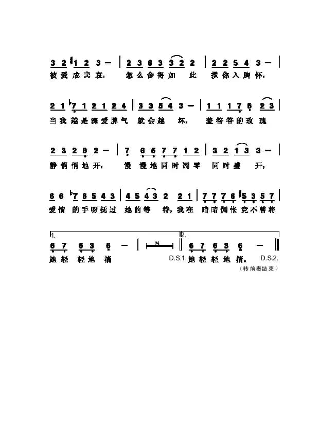 羞答答的玫瑰静悄悄地开