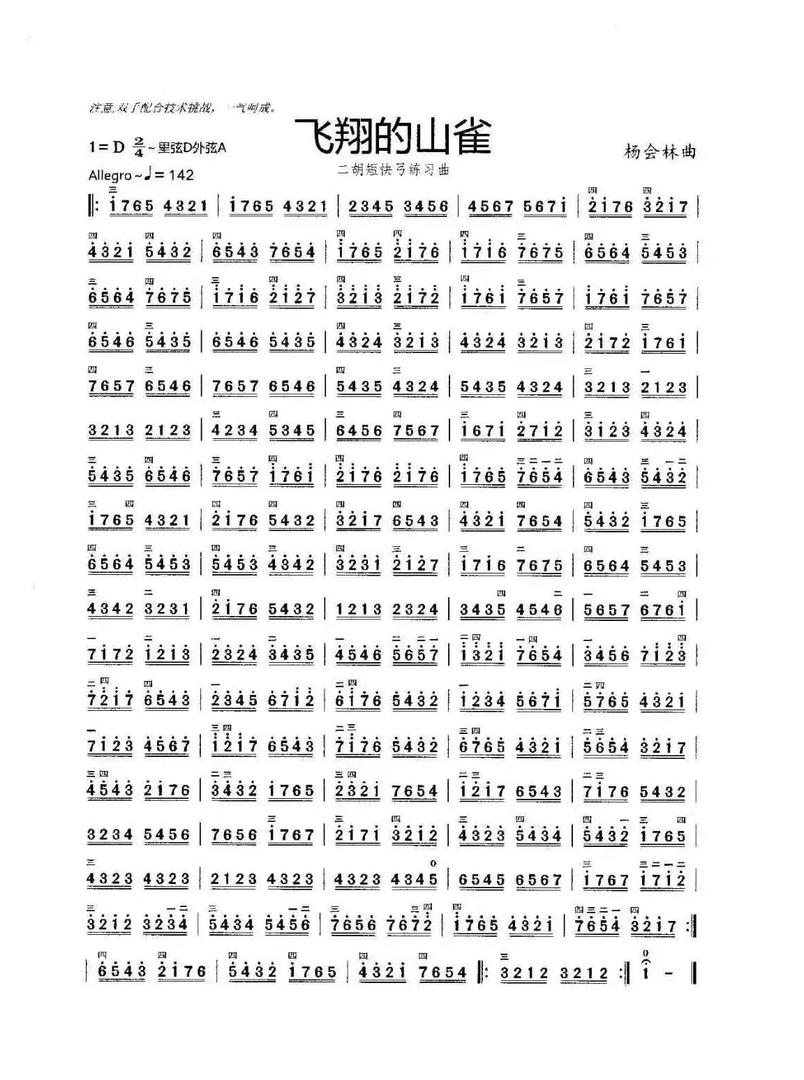 飞翔的山雀（高胡短快弓练习曲）