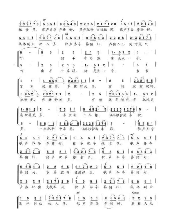 养猪人儿笑呵呵