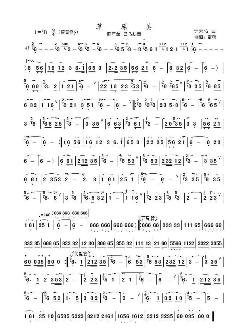 草原美（葫芦丝、巴乌独奏）