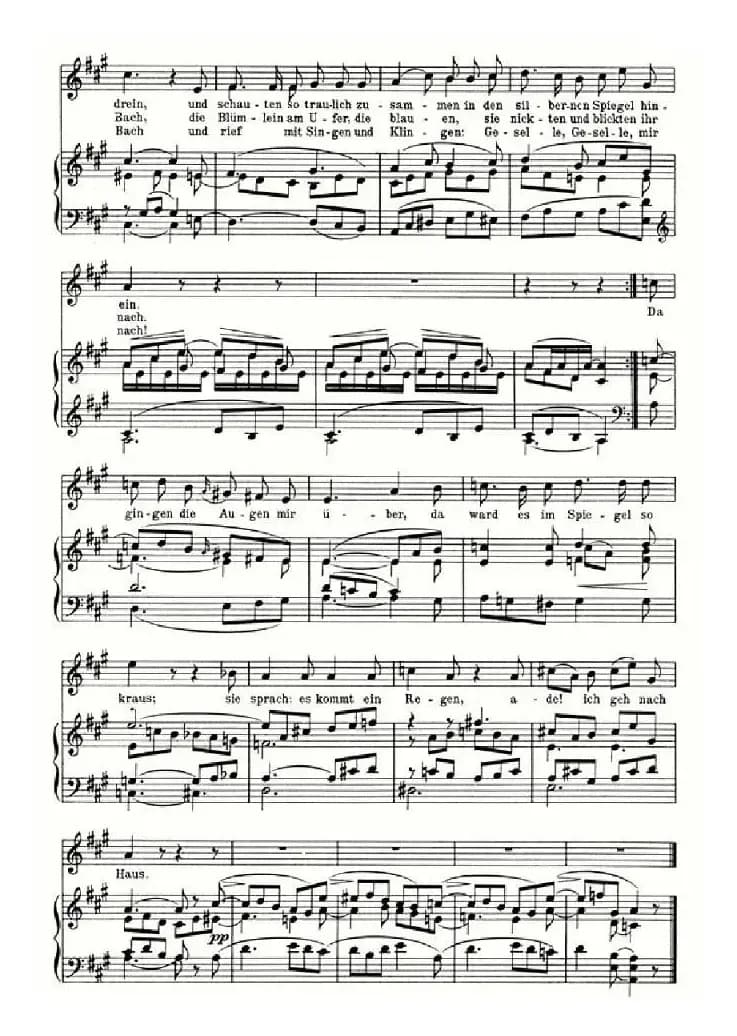 Tranenregen（奥）