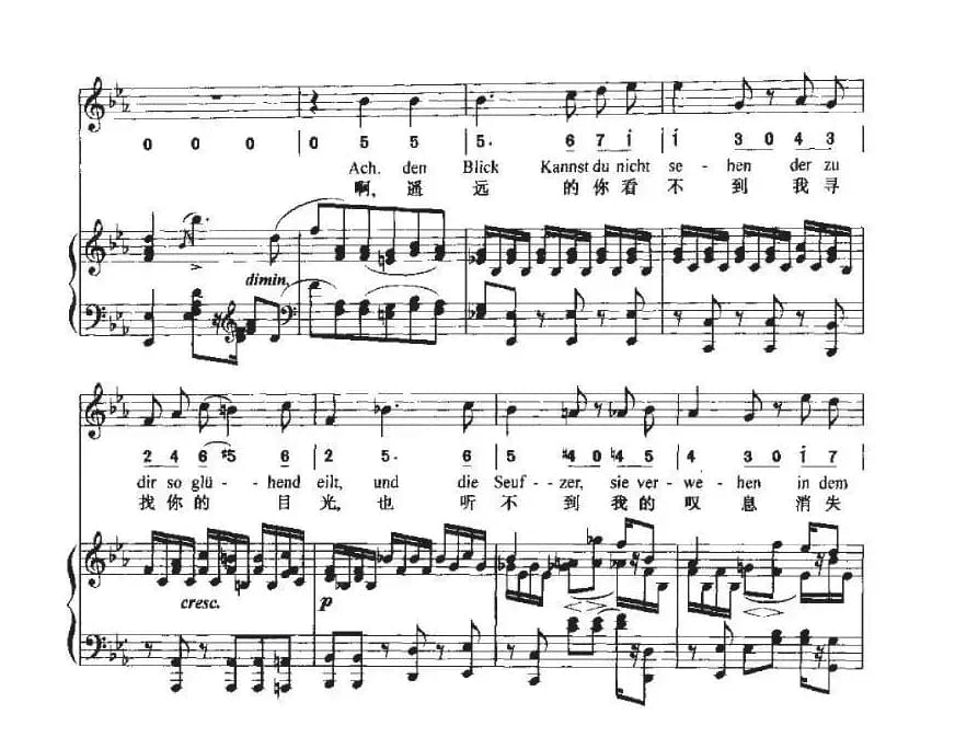 致远方的恋人（中外文对照、线简谱混排版）