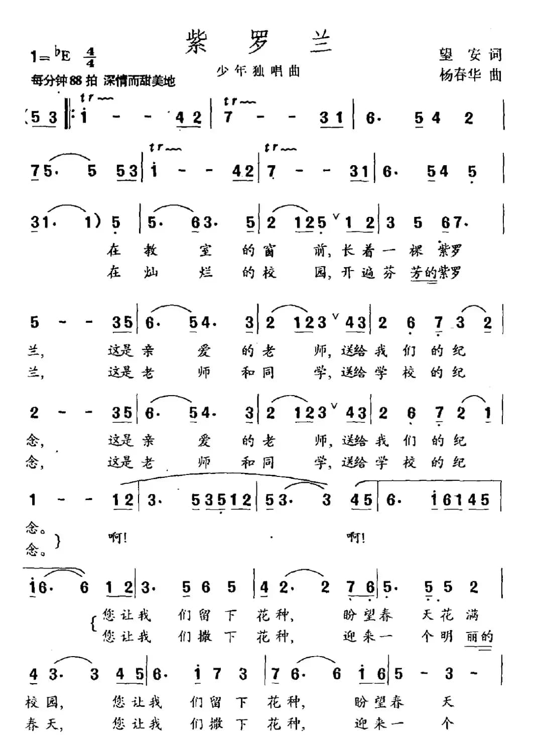 紫罗兰（望安词 杨春华曲）