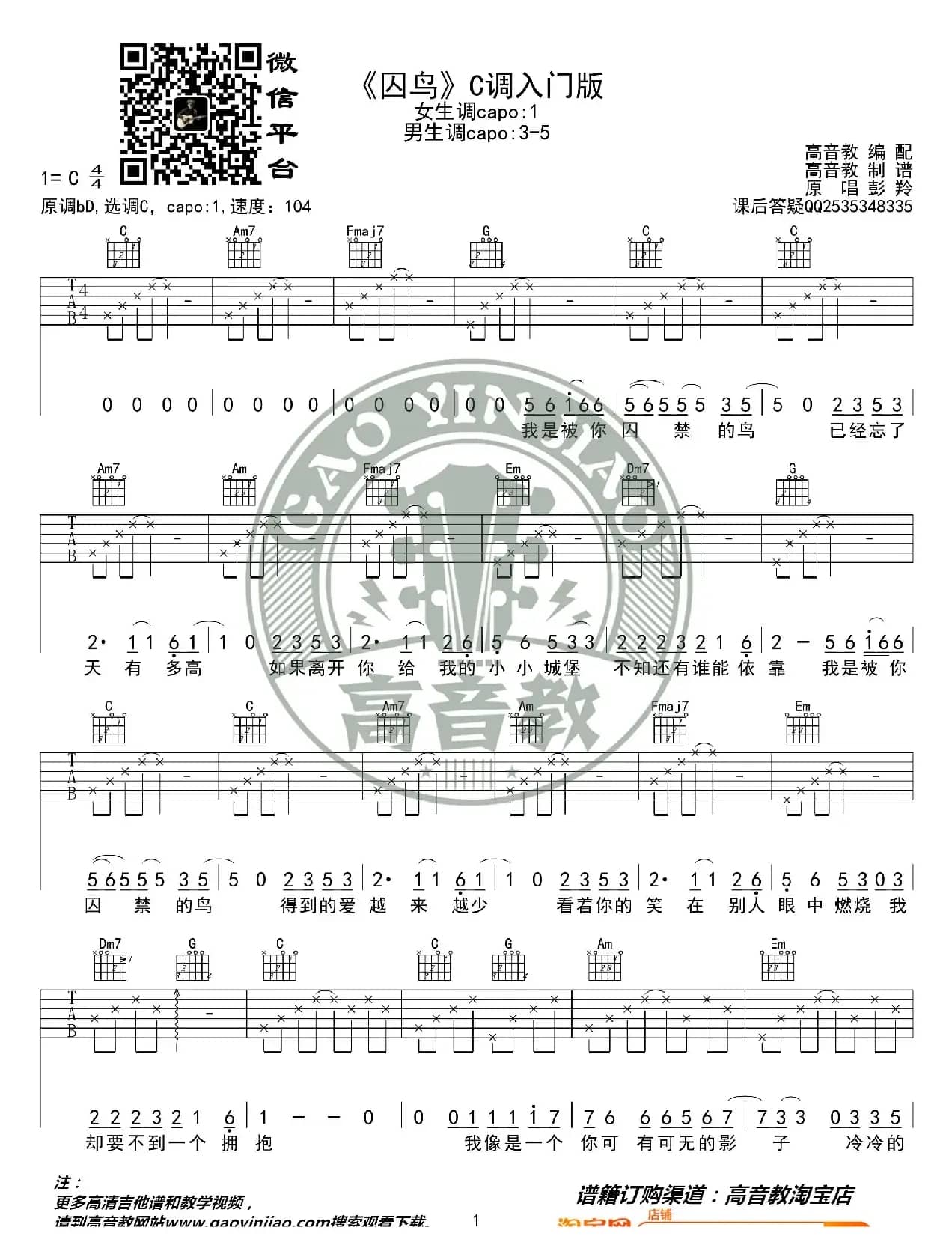 《囚鸟》吉他谱吉他弹唱教学C调入门版 高音教 