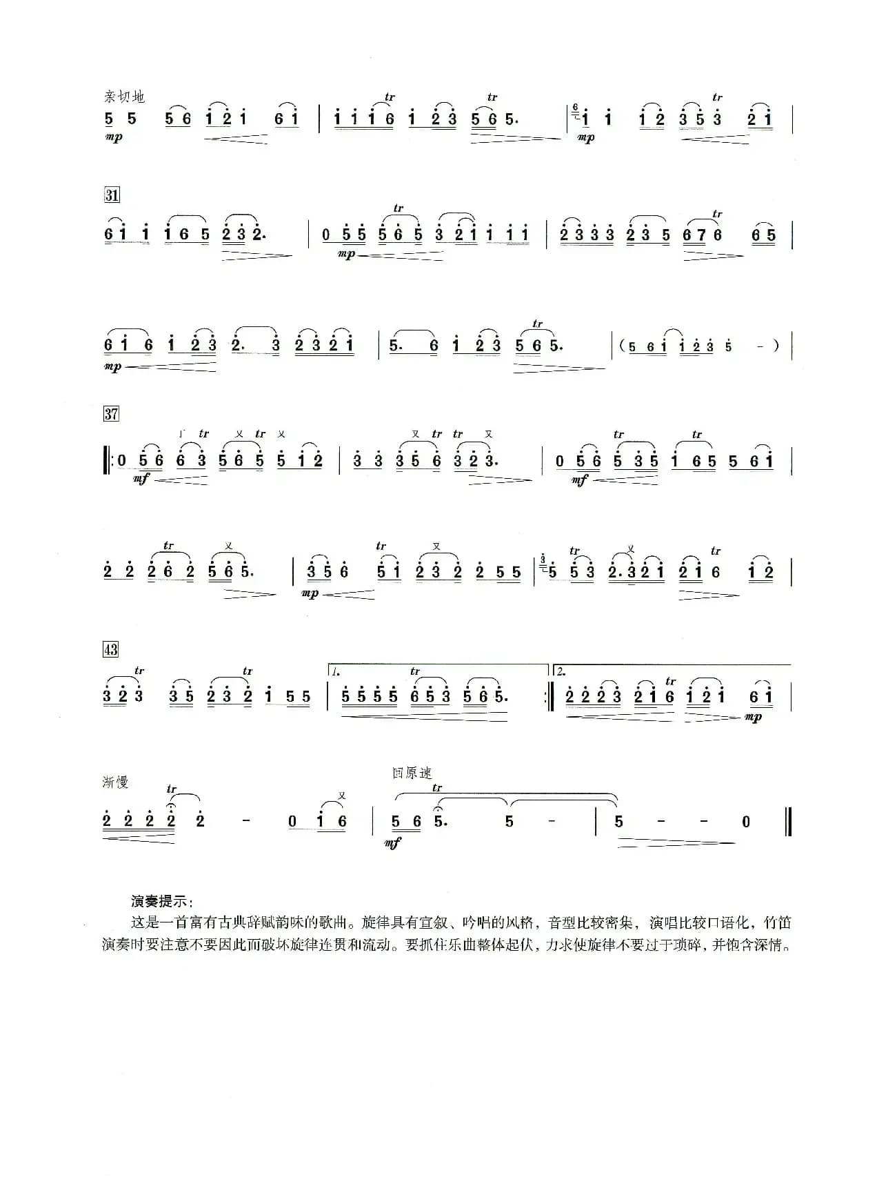 涛声依旧（笛子演奏提示版）