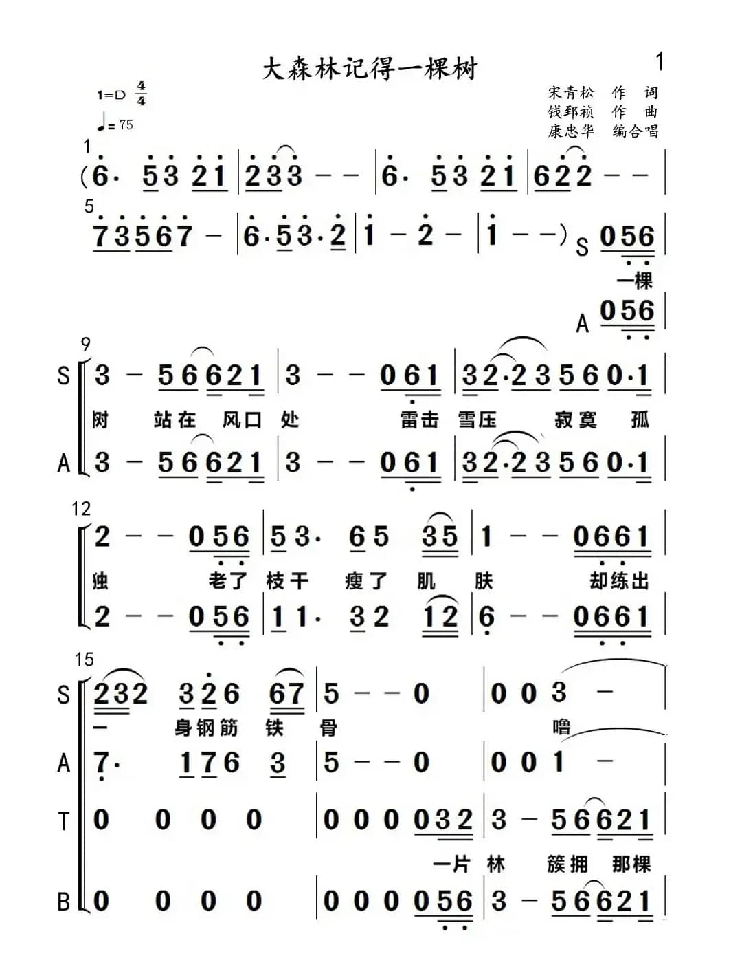大森林记得一棵树