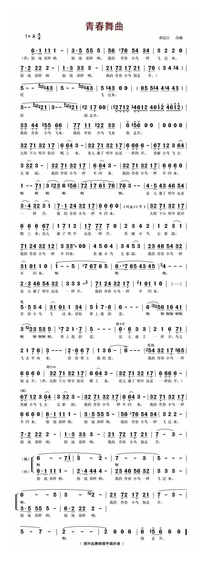 青春舞曲（胡廷江改编版）