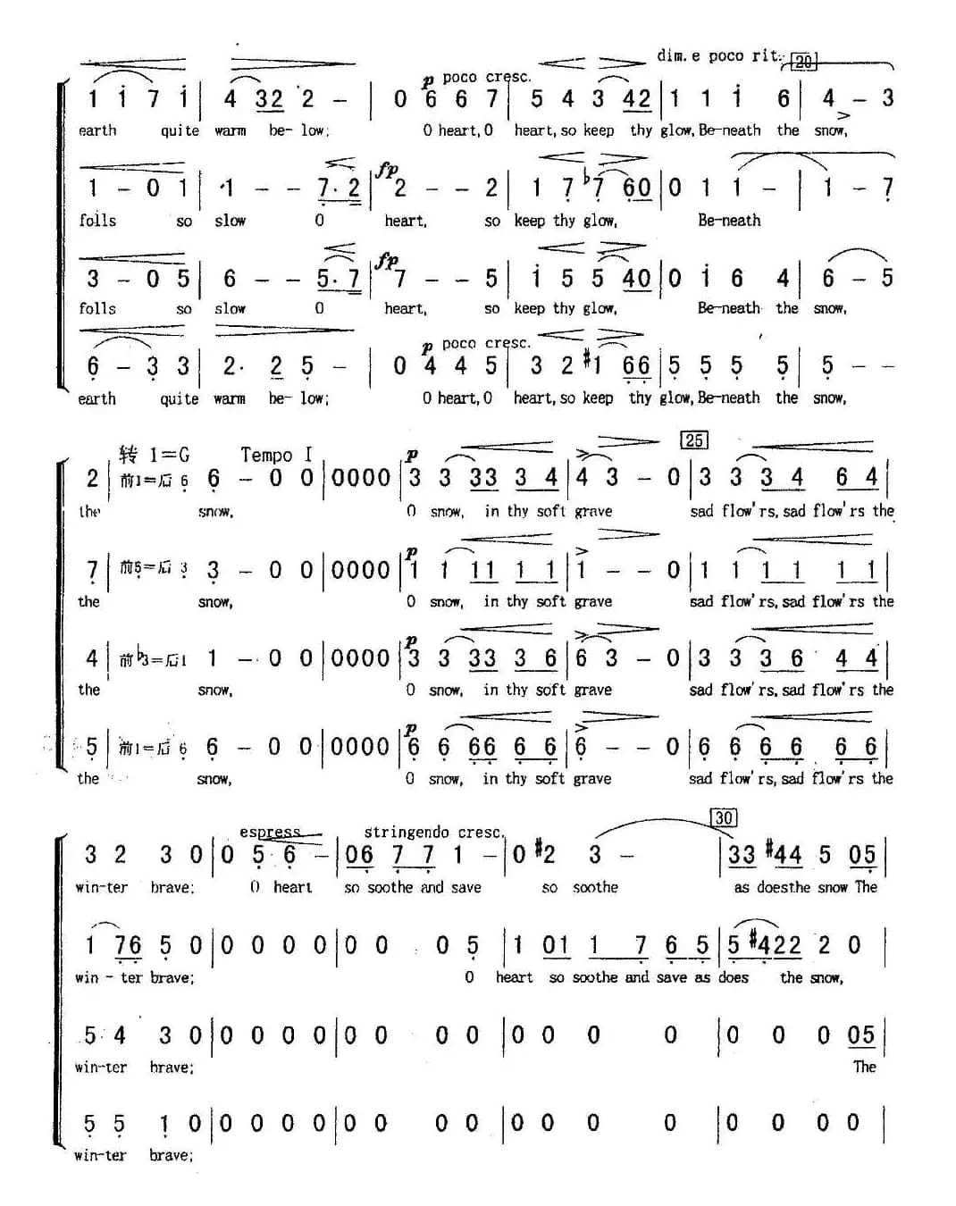 The Snow（雪花）