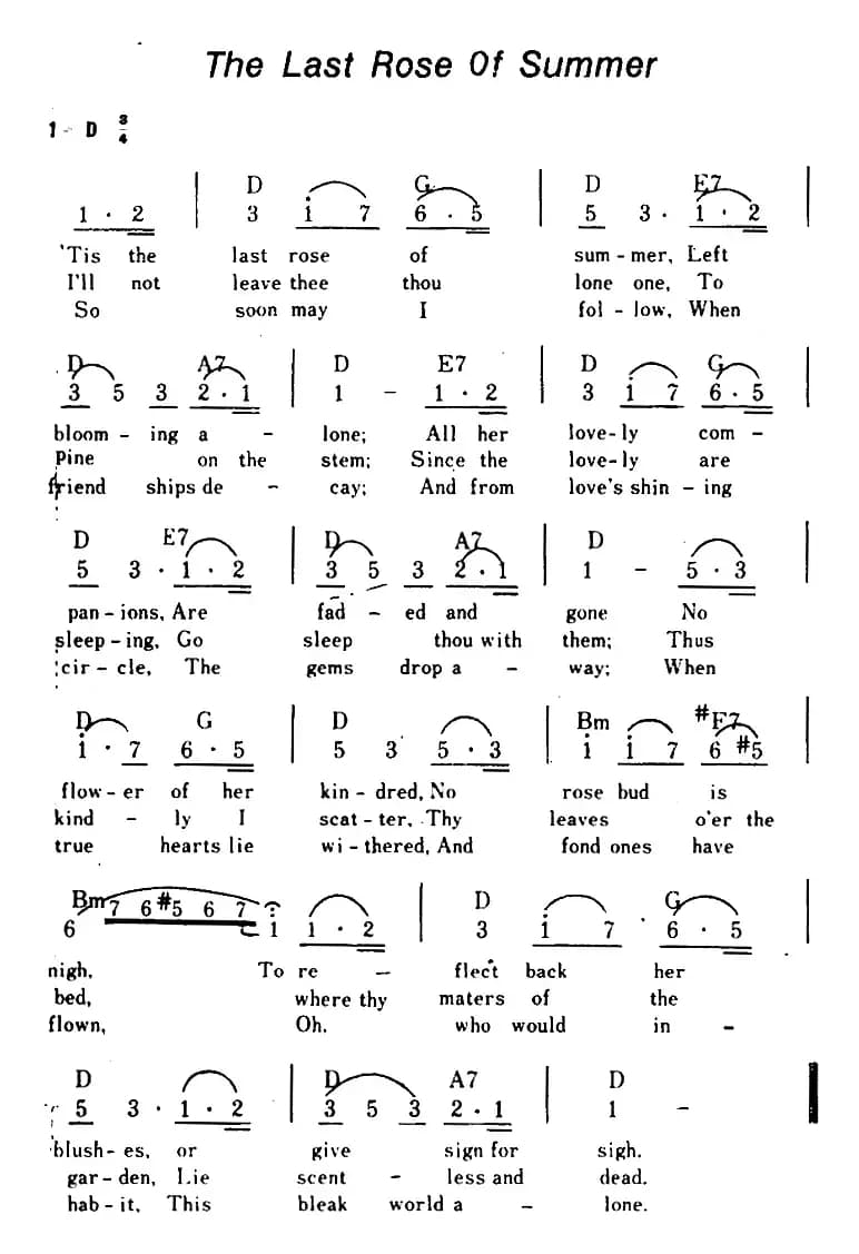 [美]The Last Roes Of Summer（夏日里最后一支玫瑰、带和弦）