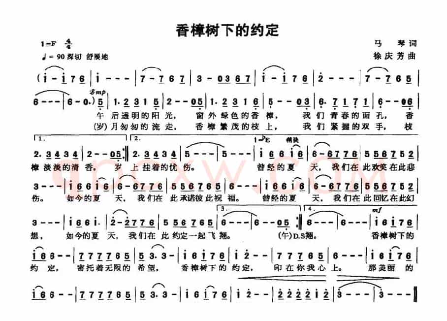 香樟树下的约定