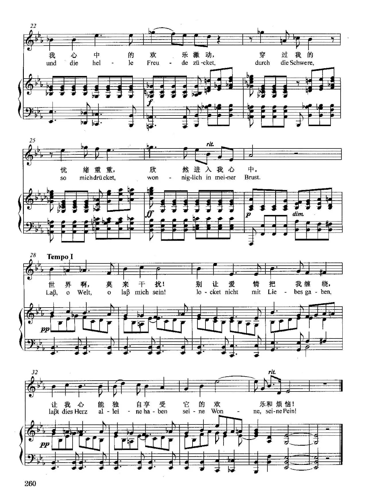 [奥]隐衷（正谱）