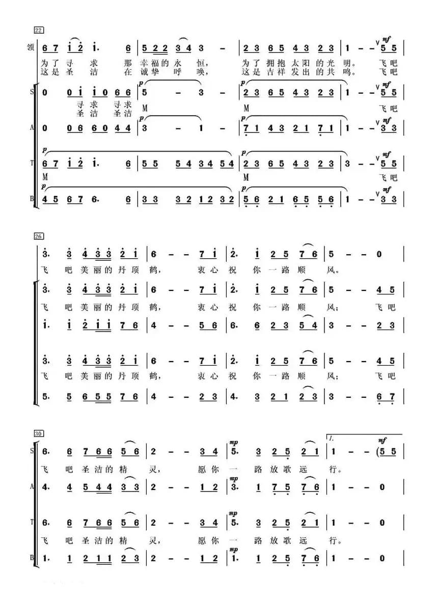 飞翔吧，美丽的丹顶鹤