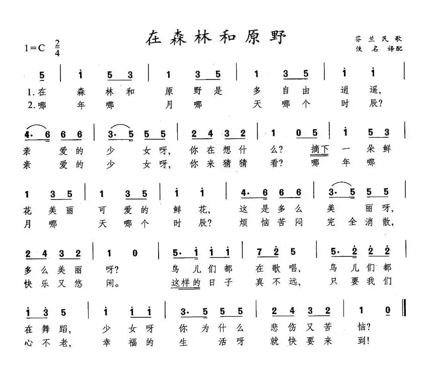 在森林和原野（芬兰）