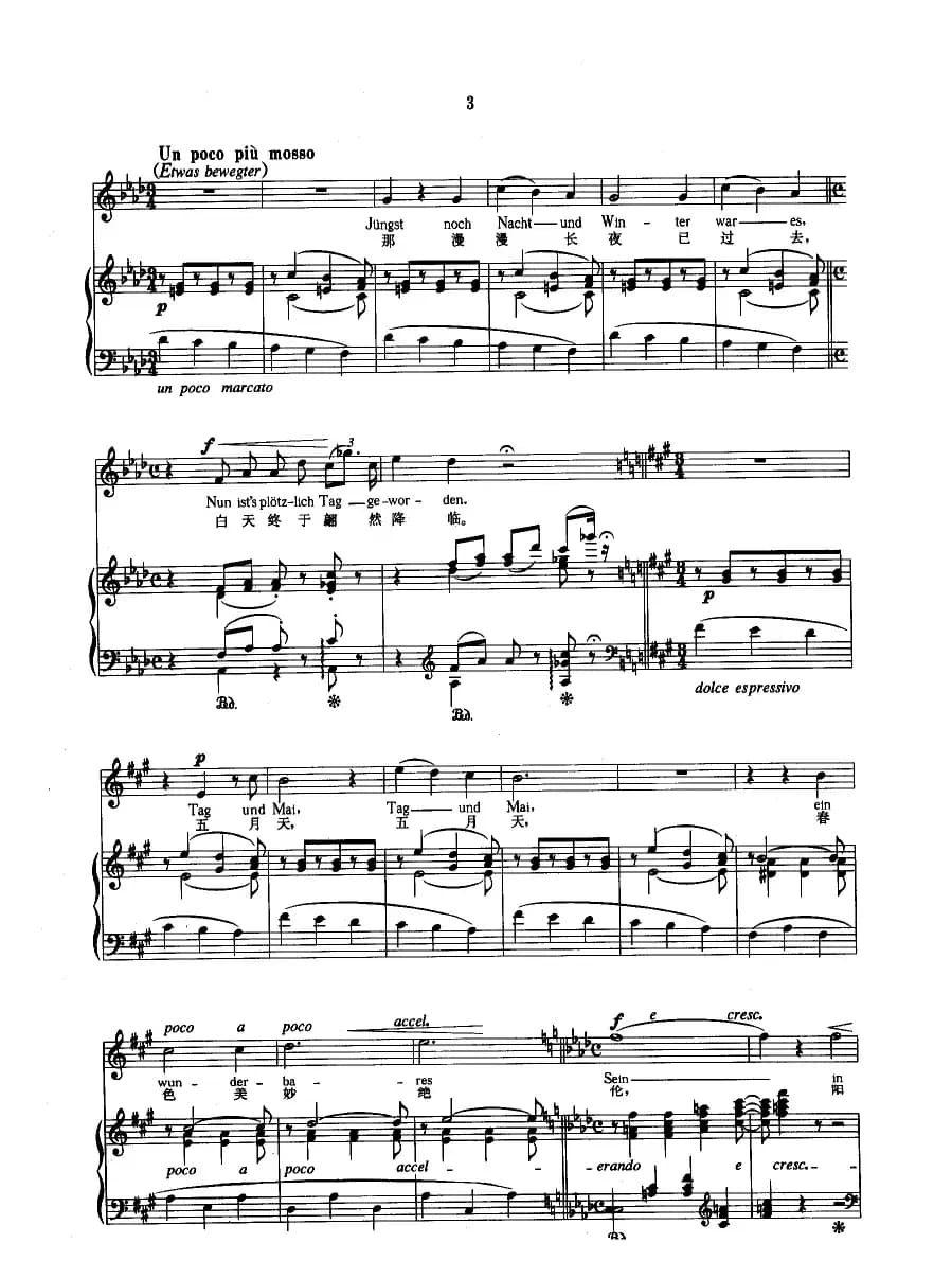 蓝眼睛像秋水盈盈（正谱）