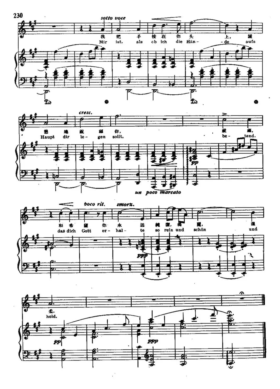 [德]你好像一朵鲜花（中外文对照、正谱）