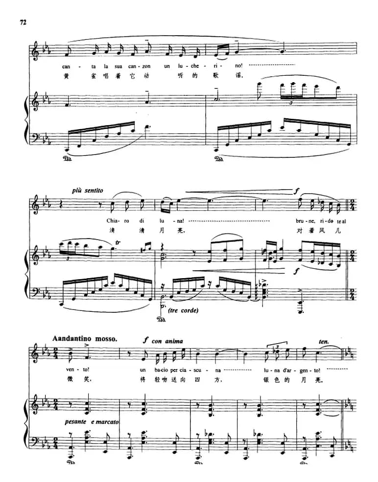 五月情歌 （正谱）