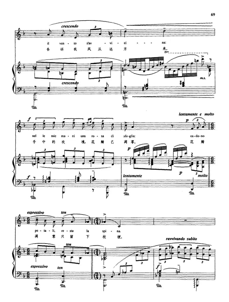 五月情歌 （正谱）