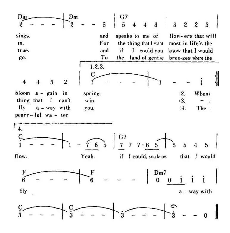 [美]Snow Bird（雪鸟、带和弦）