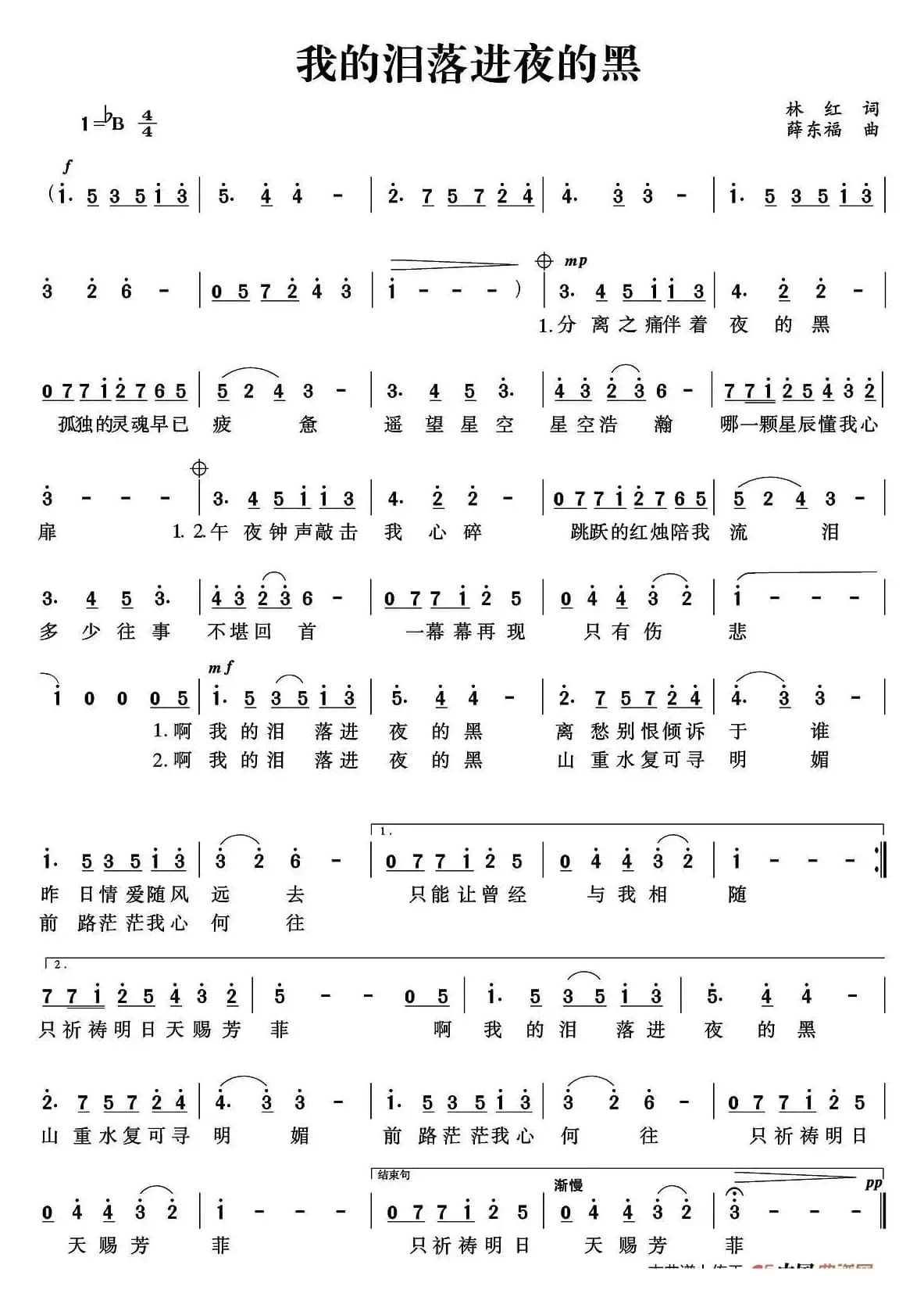 我的泪落进夜的黑