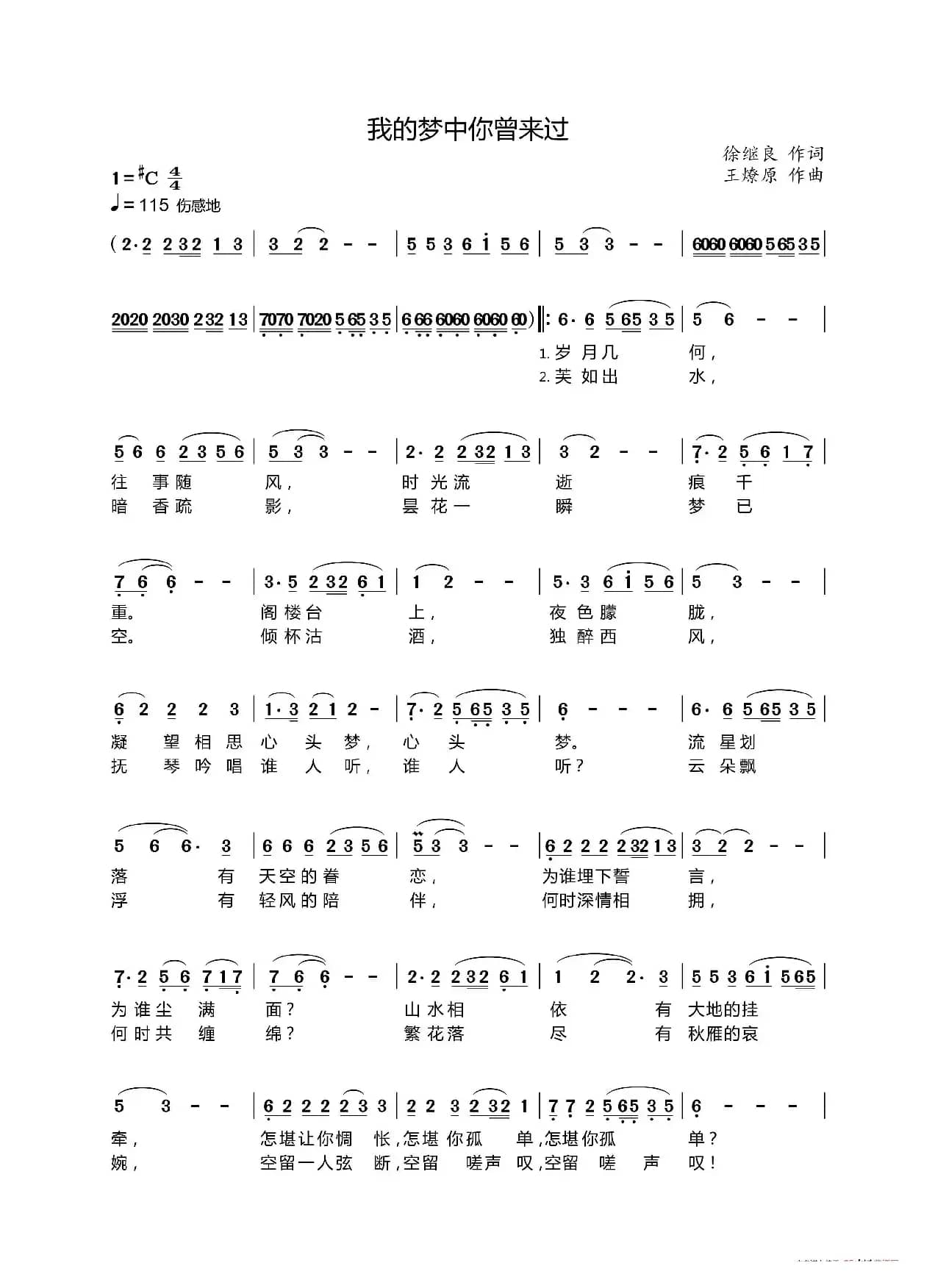 我的梦中你曾来过（徐继良）