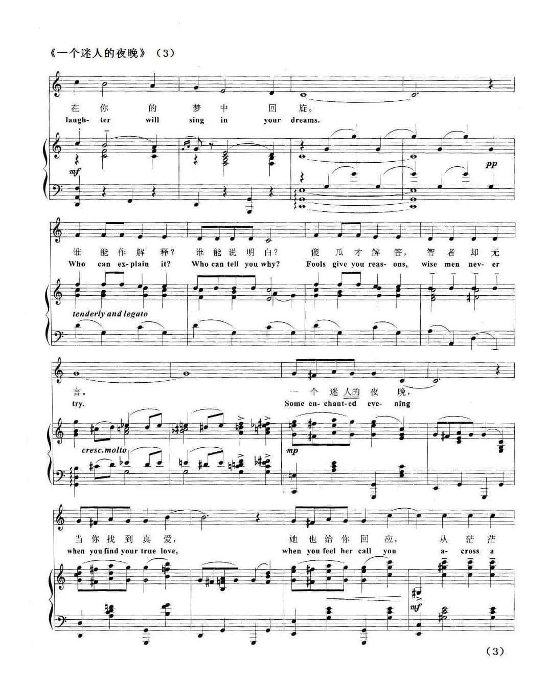 [美]一个迷人的夜晚（正谱）