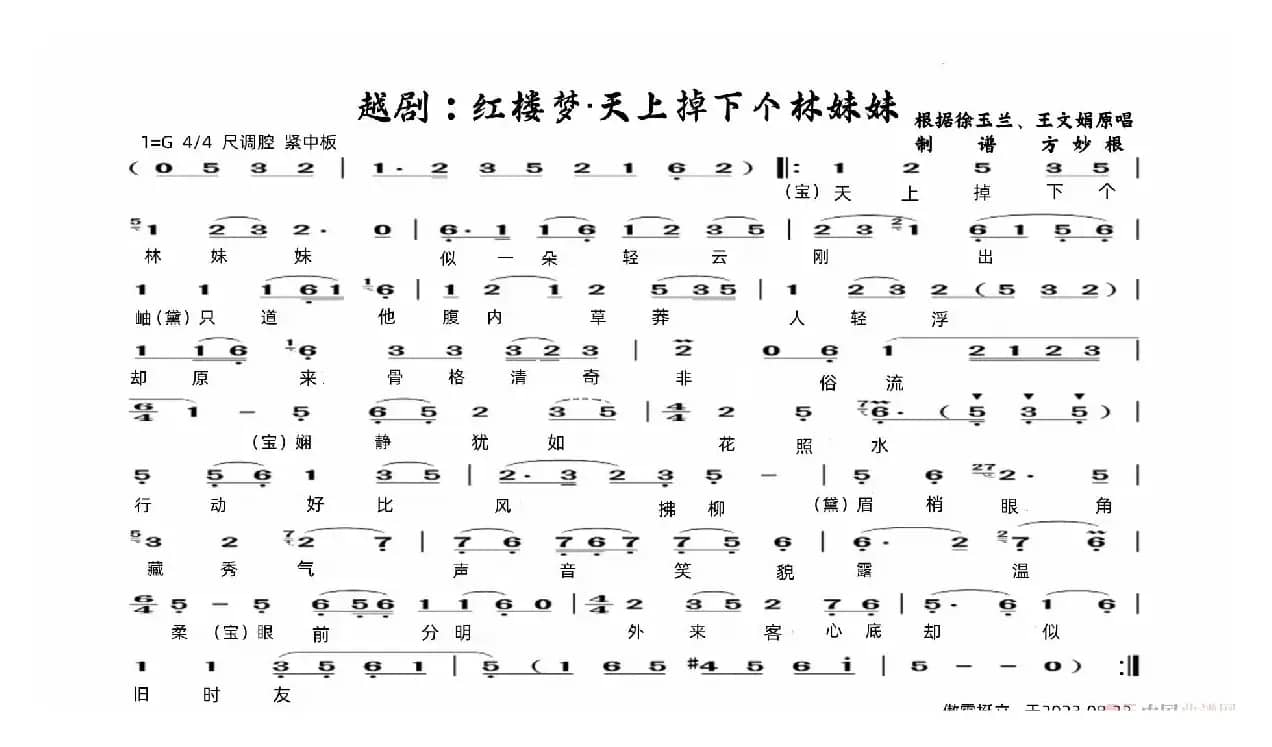 越剧：红楼梦&天上掉下个林妹妹