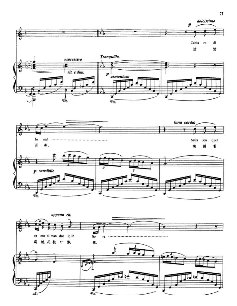 五月情歌 （正谱）