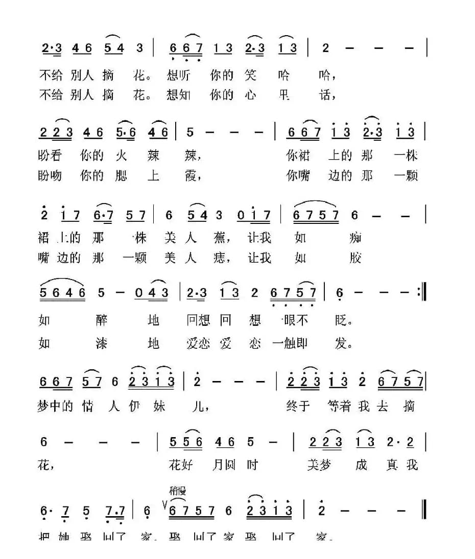 梦中的情人伊妹儿