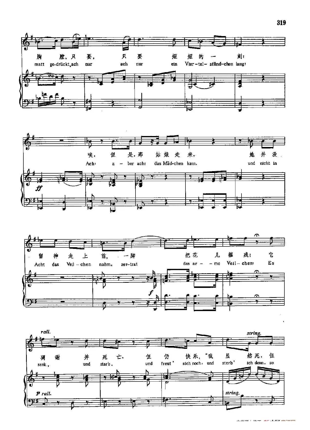 声乐教学曲库3-[奥]66紫罗兰（正谱） 