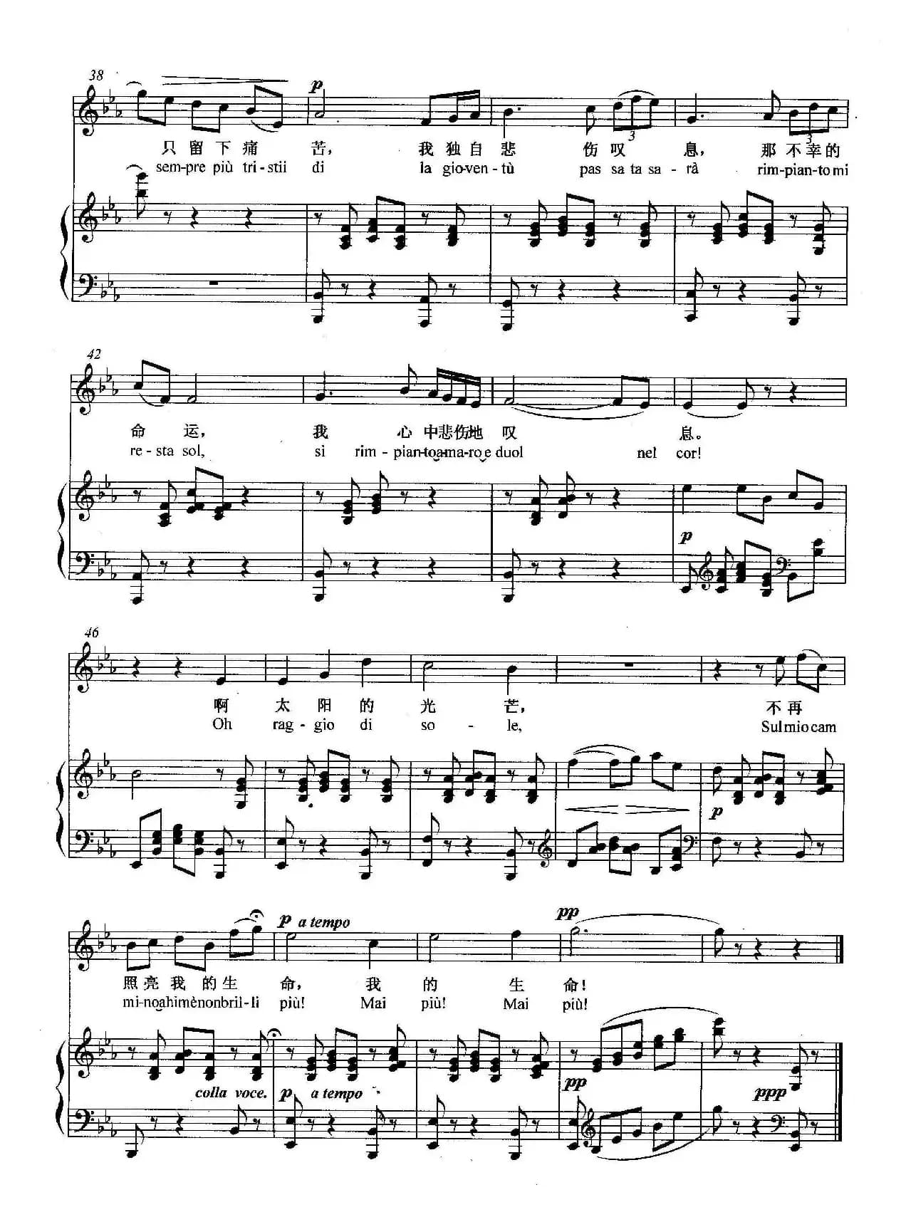 [意]悲叹的小夜曲（正谱）