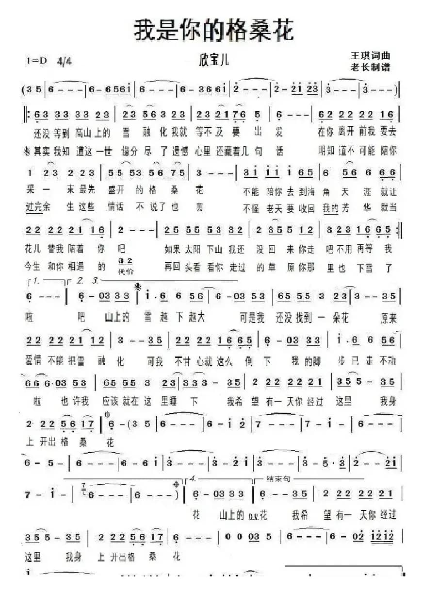 我是你的格桑花