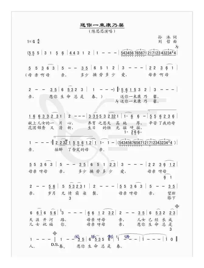 送你一束康乃馨