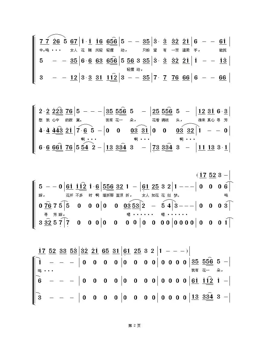 女人花（黑鸭子组合版）