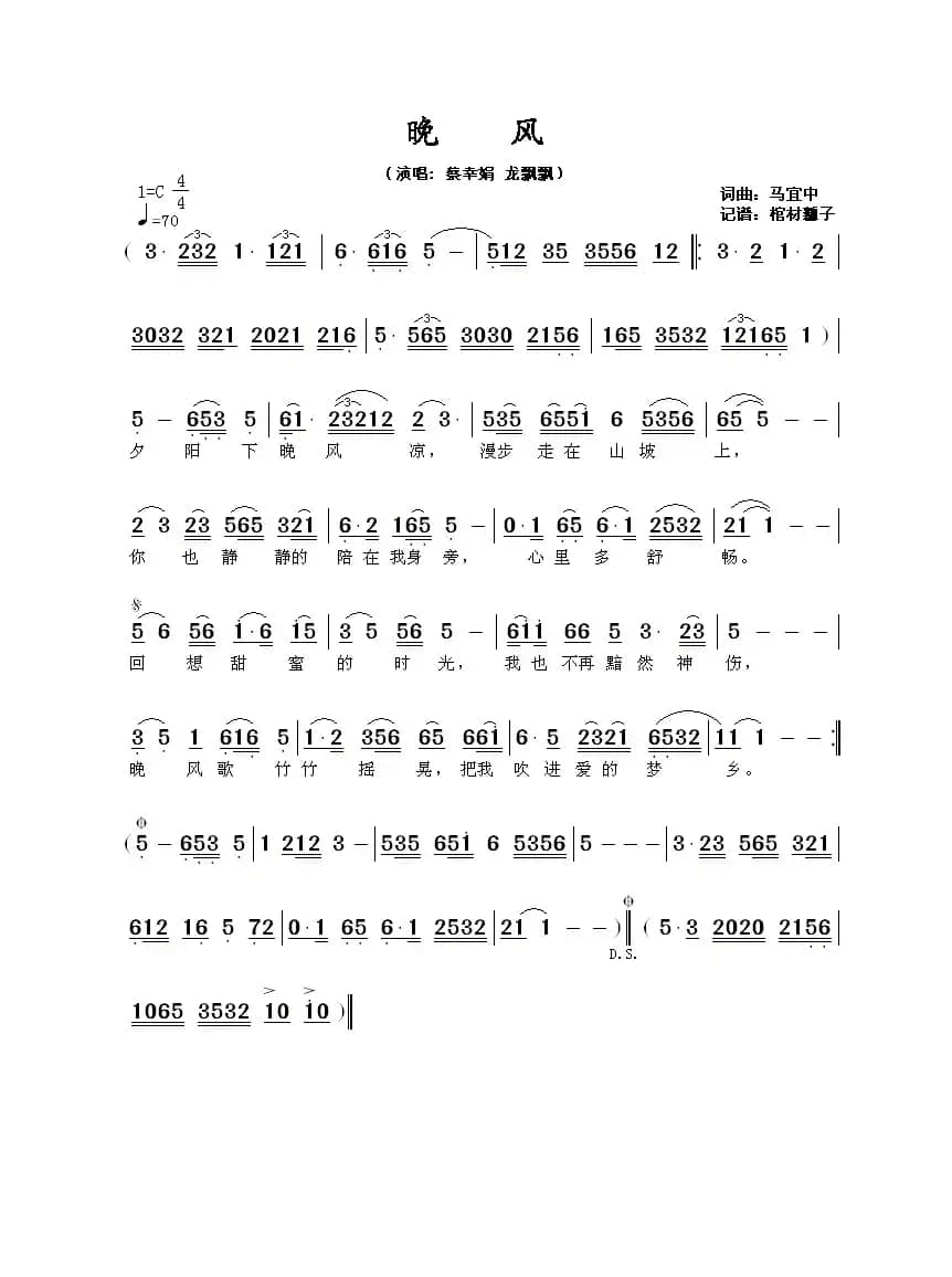 晚风(龙飘飘蔡幸娟演唱版)