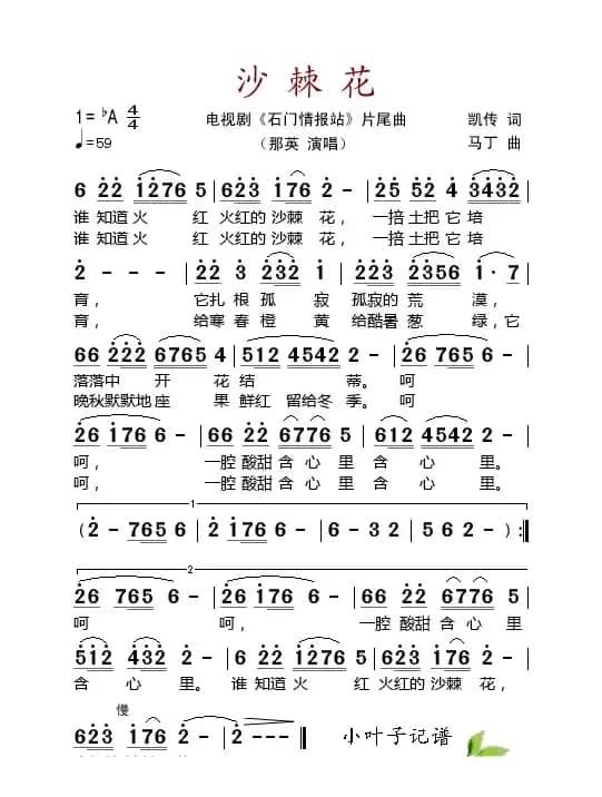 沙棘花（电视剧《石门情报站》片尾曲）