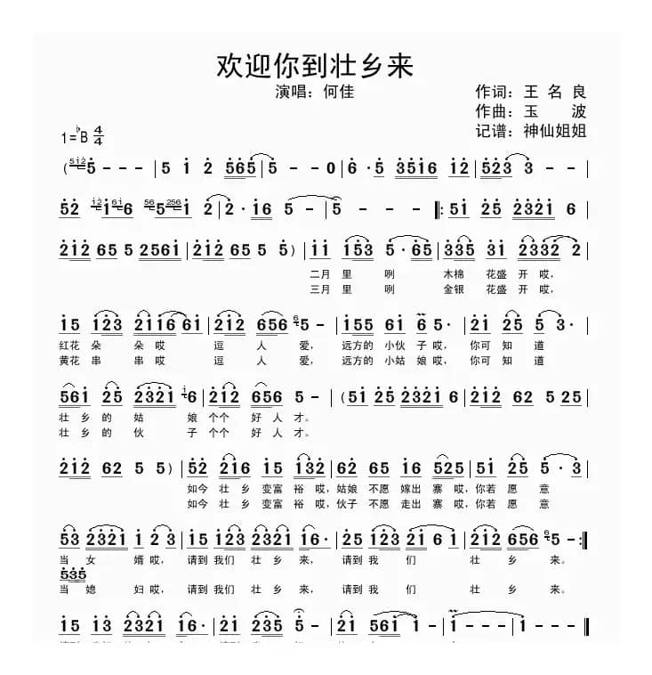 欢迎你到壮乡来