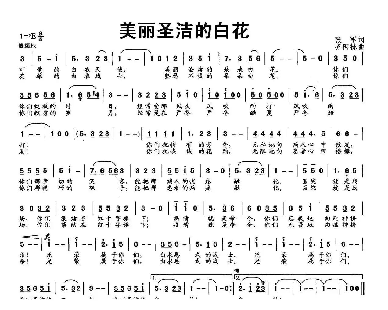 美丽圣洁的白花