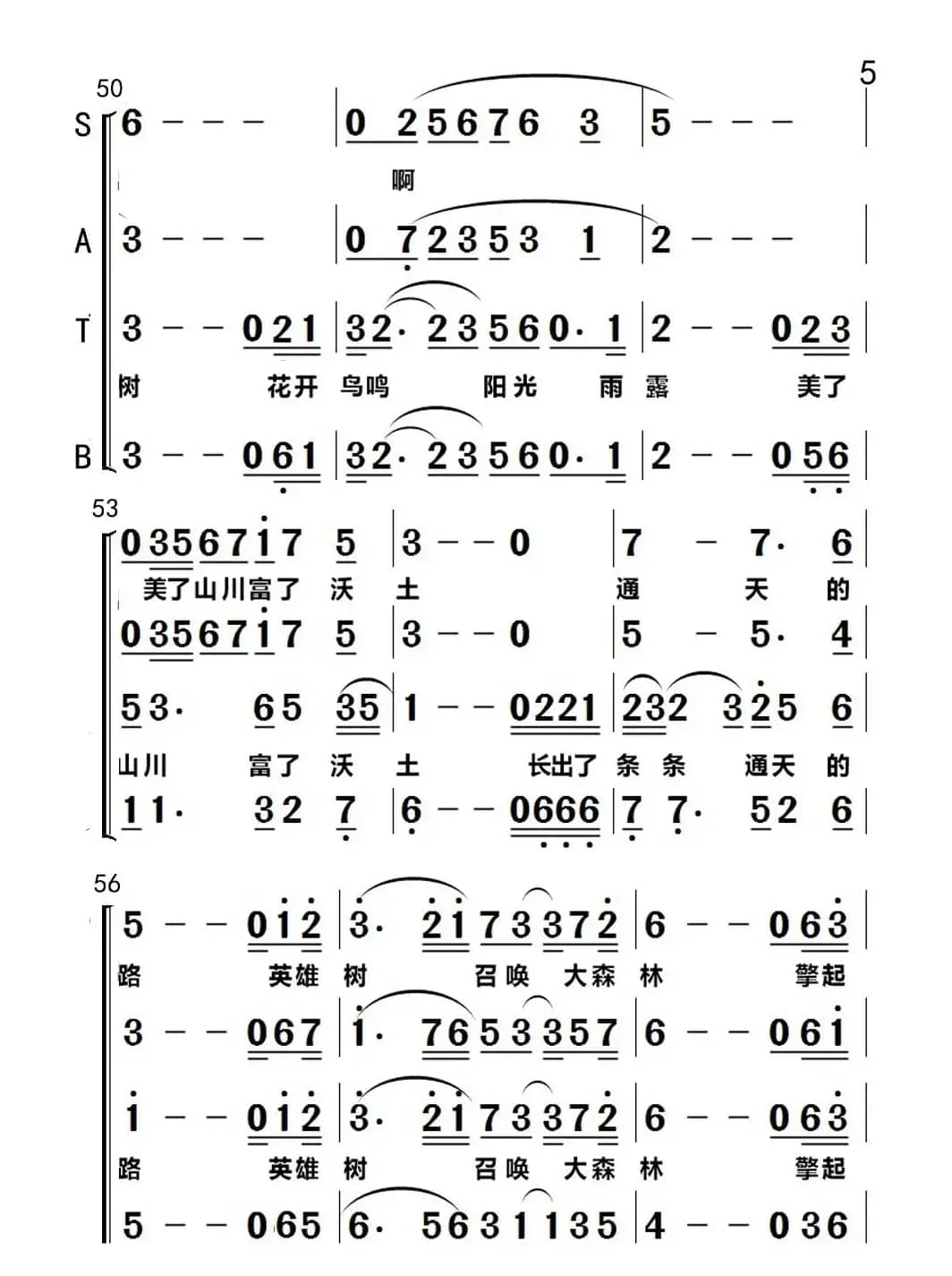 大森林记得一棵树