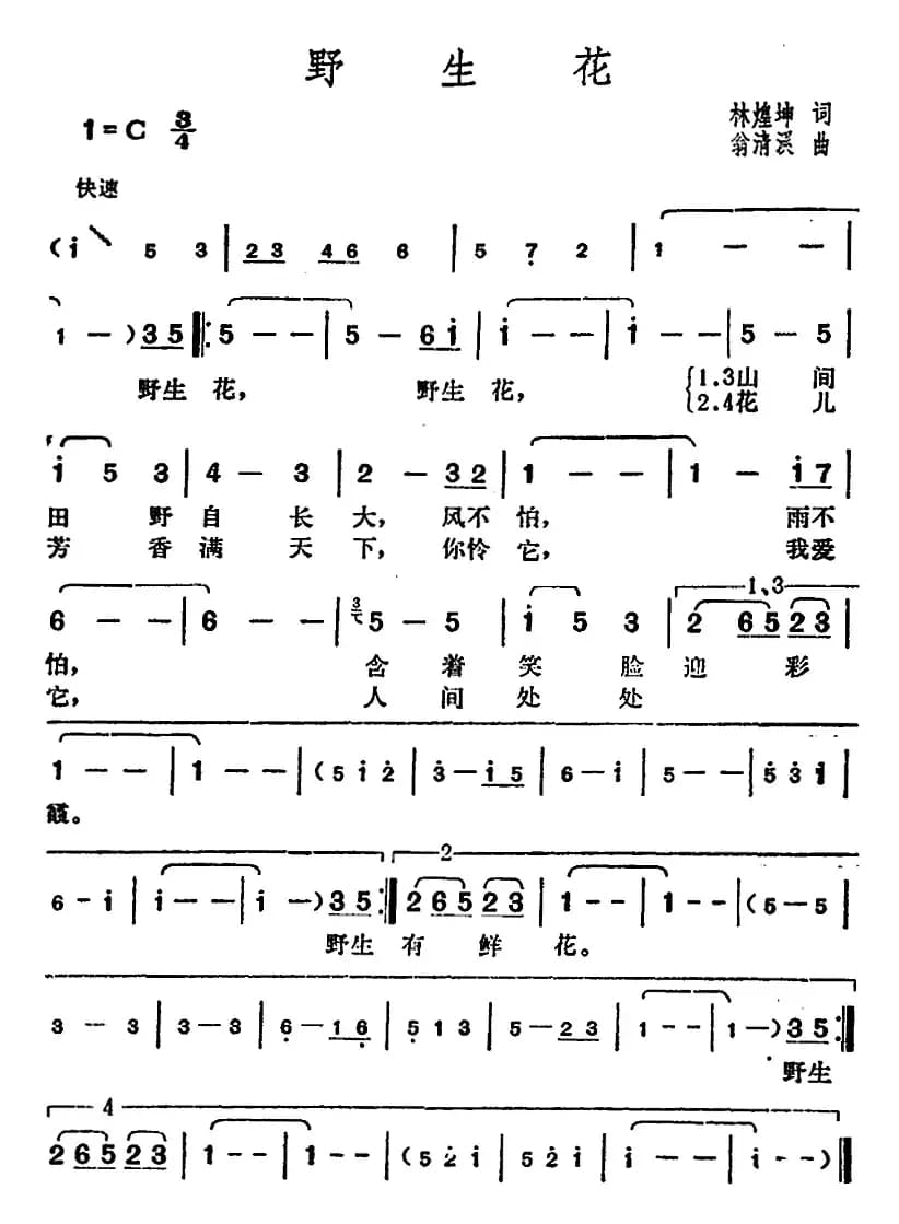 邓丽君演唱金曲：野生花