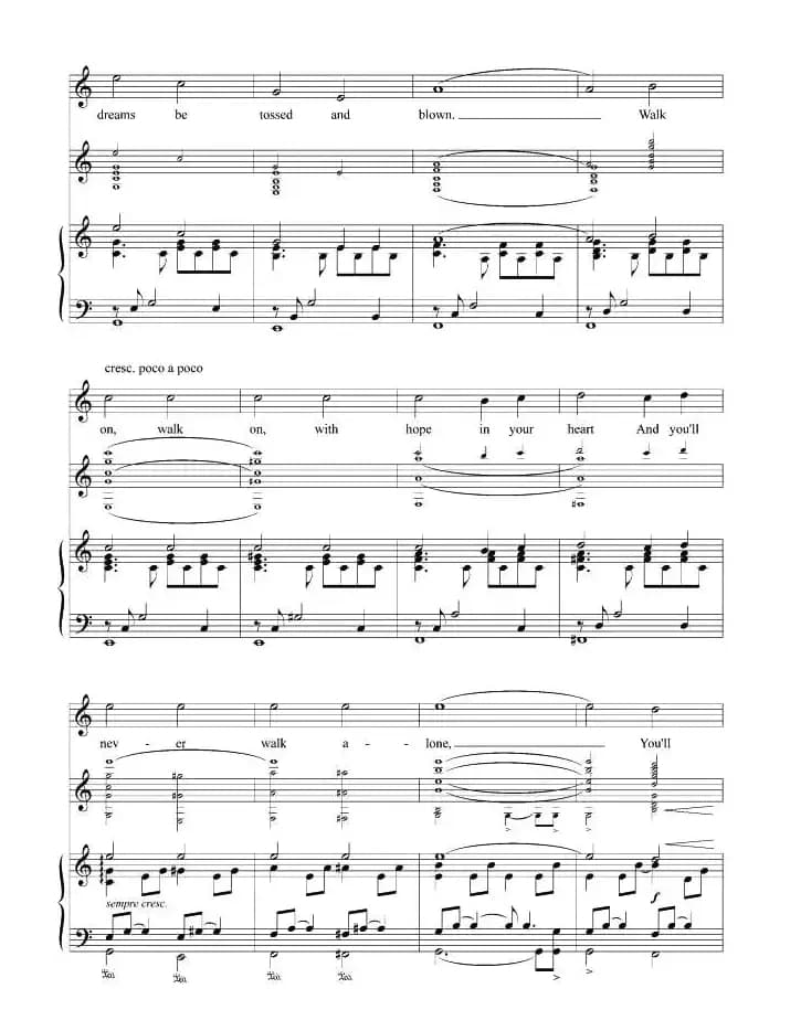 你永远不会独自行走（正谱 [美]）